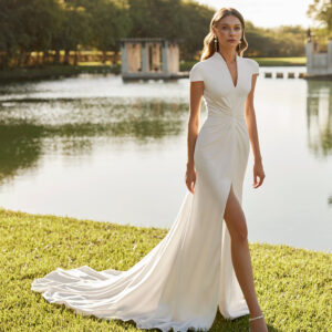 Imagen anterior del producto