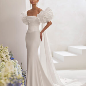 Imagen anterior del producto